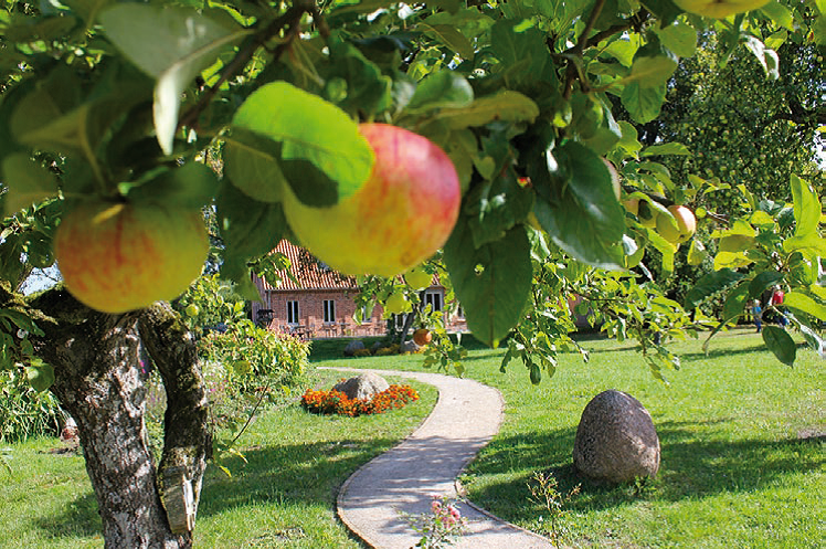 Schöpfungszeit 2018 / 'Backstein - Geist und Garten Starkow
